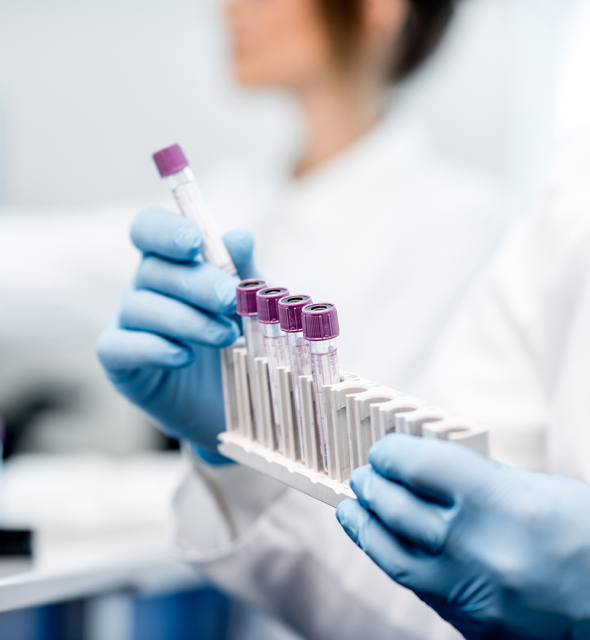 MBP_research_hamilton lab_desktop